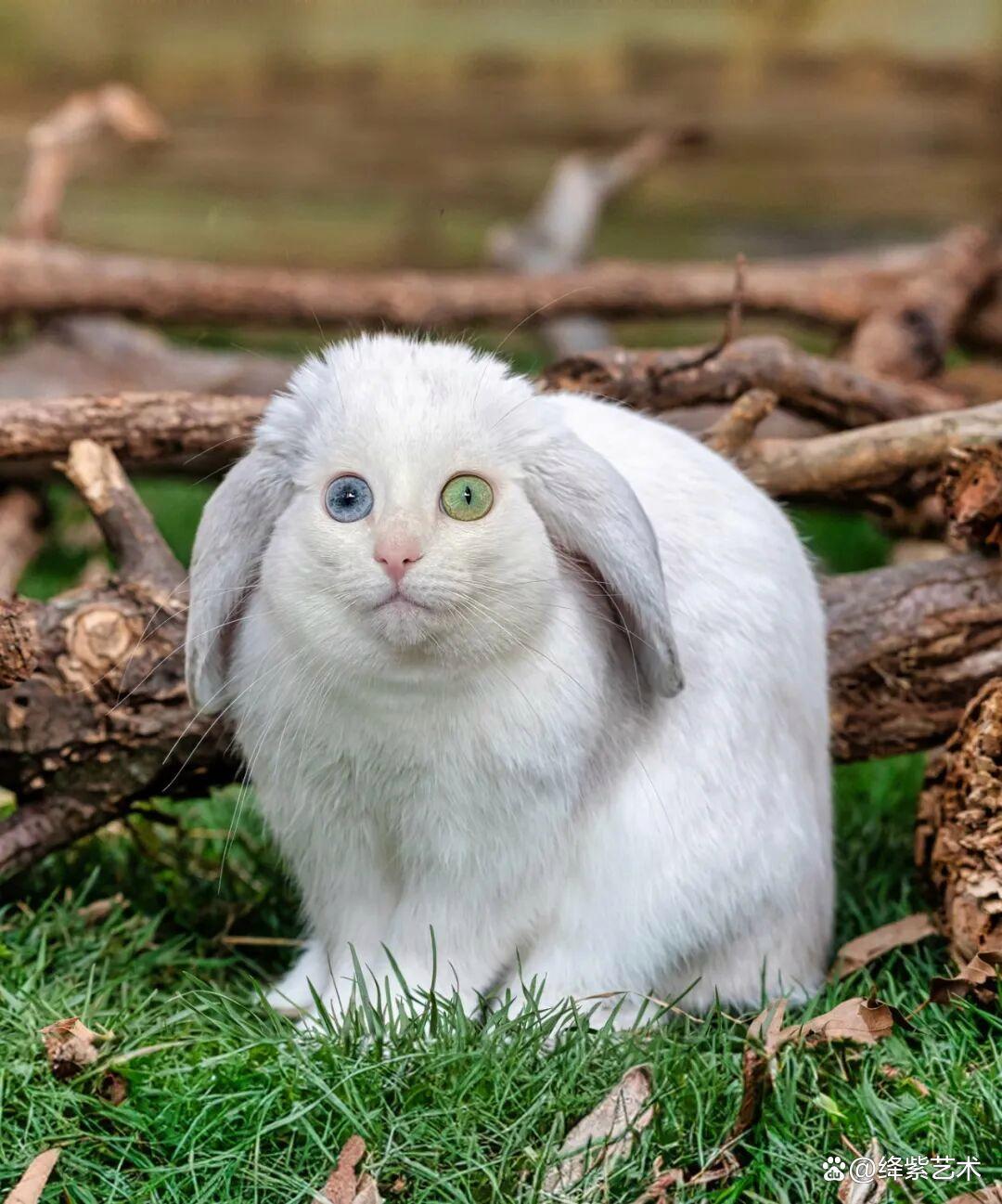 《服务器选购终极指南:避开这5个坑,性能飙升50%!》